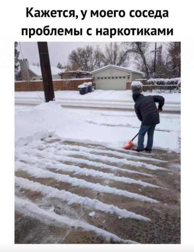Всяческие картинки 08.11.2021