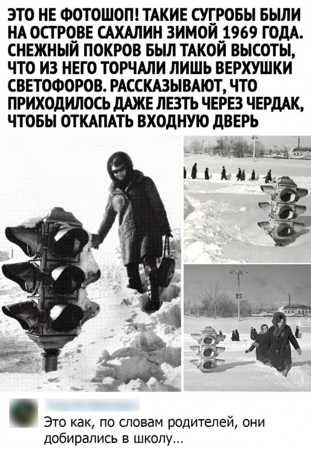 Так себе картинки 21.11.21