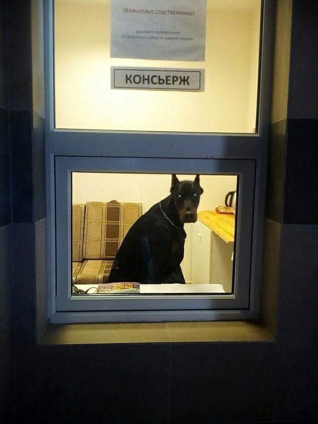 Бездуховный запад. Часть третья
