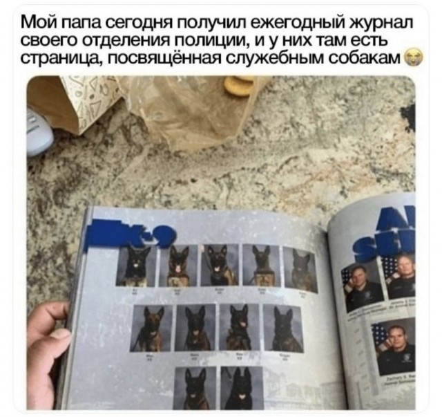 Картинки и мемы, всем прекрасных выходных