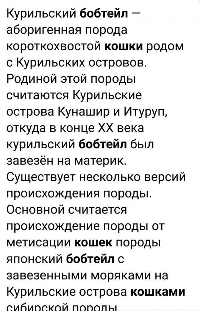 Дочь не пригласила на свадьбу отчима, который растил ее с 9 лет. Я тоже на эту свадьбу не пойду