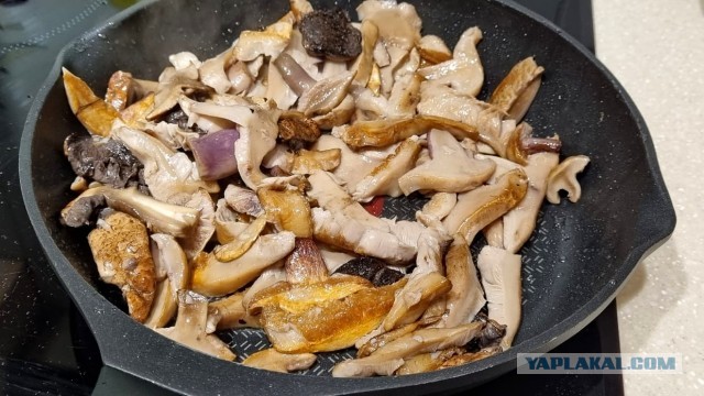 Банальные грибы с картошечкой