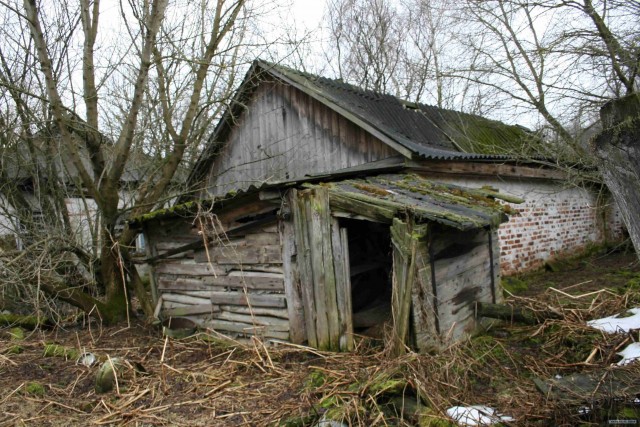 Моя поездка в Чернобыль