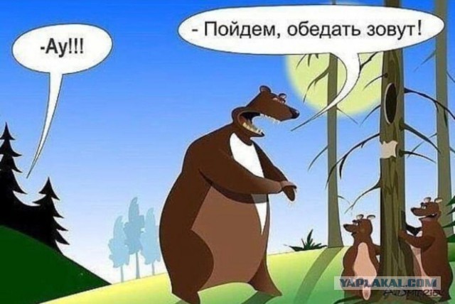 В Югре полицейские задержали подозреваемых в убийстве медвежонка.