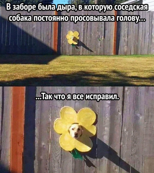 Картинки и мемы, всем хороших выходных