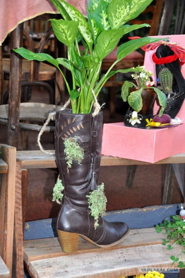 Славный город Львов