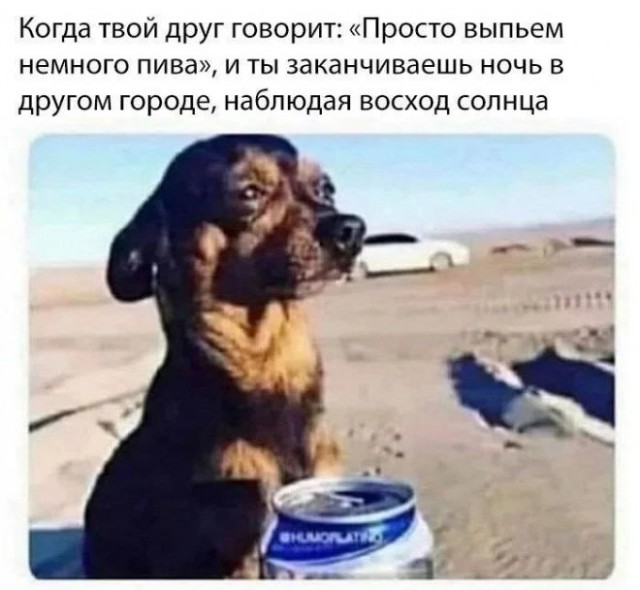 Так себе картинки 17.09.22