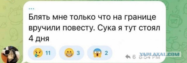 Глава МИД ЕС Жопез Боррель призвал покинуть Россию всех представителей ЛГБТ сообщества