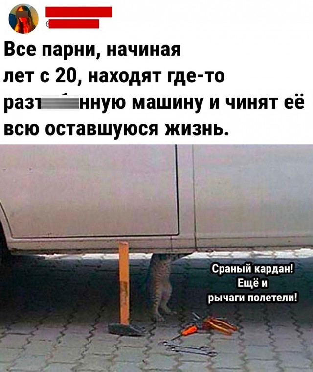 Так себе картинки 08.10.22
