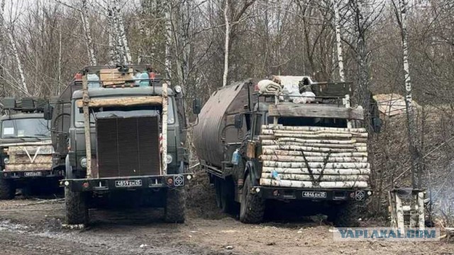 Новости Литвы: энергетическая победа