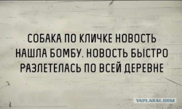 50 оттенков серого или самосвал баянов. Vol.27