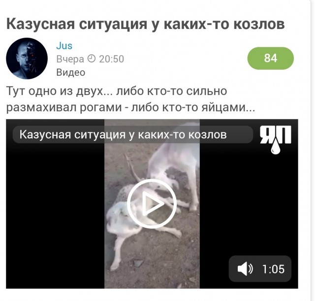 Мент и ДПСники