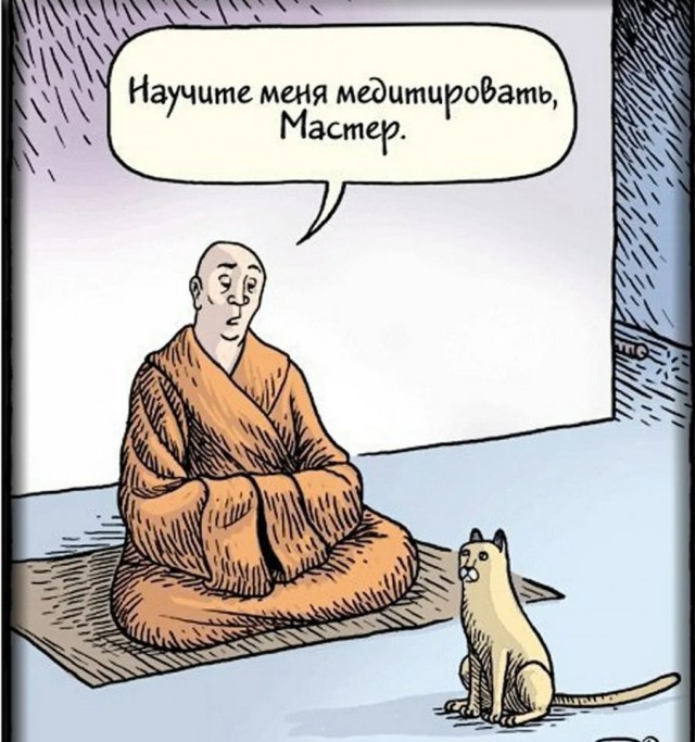 Объясните, что происходит с моим котэ?