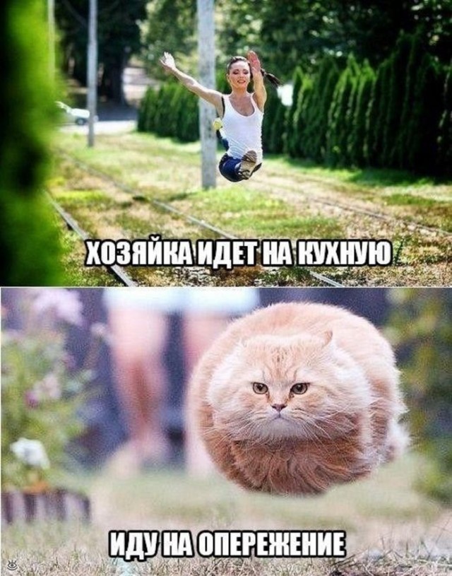 Прикольные и просто красивые картинки 14.07.2023