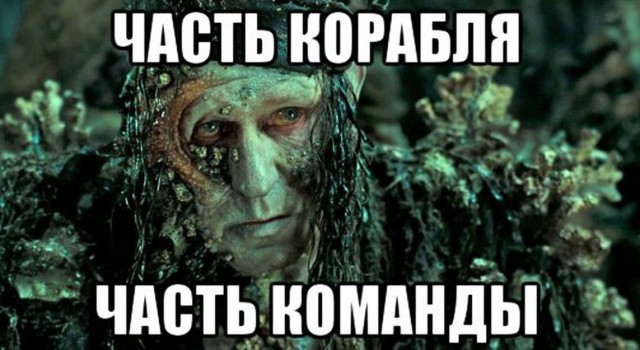 Удаление налипших водорослей с днища судна