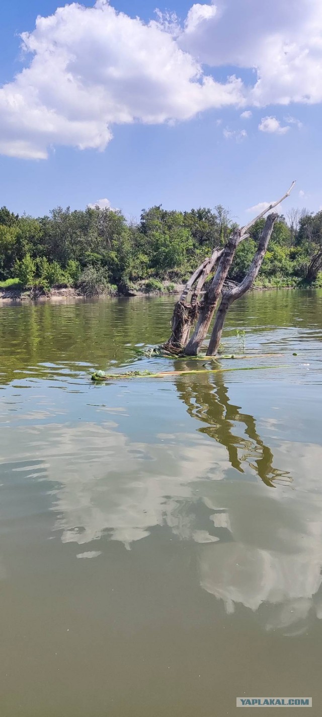 Рыбалка на реке Зея