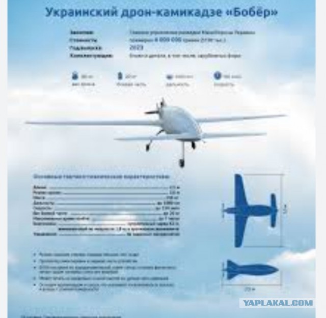 В Новосибирской обл. бобры настроили плотин, изменили направление реки, утопили экскаватор и оставили без электричества 2 села