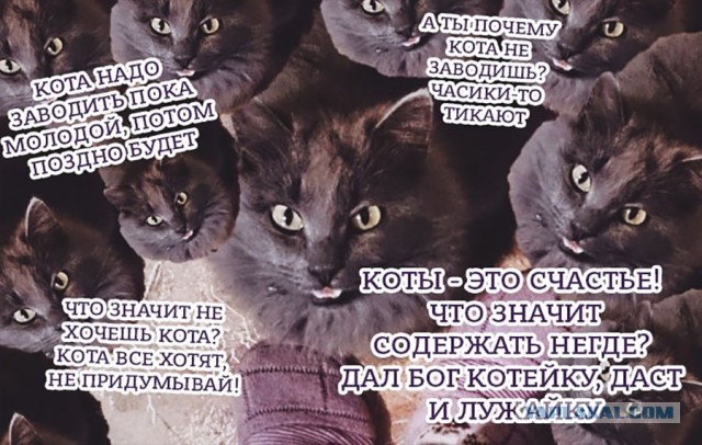 Мне 19 и я ни разу не целовалась