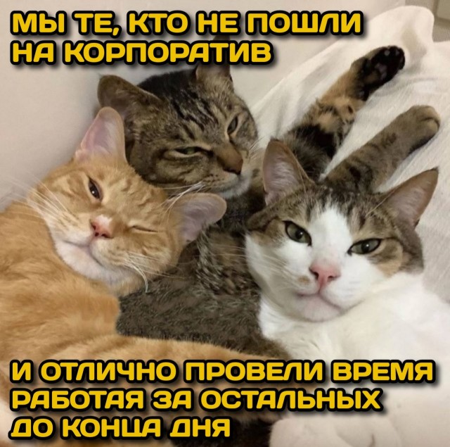 ФотоВинегрет