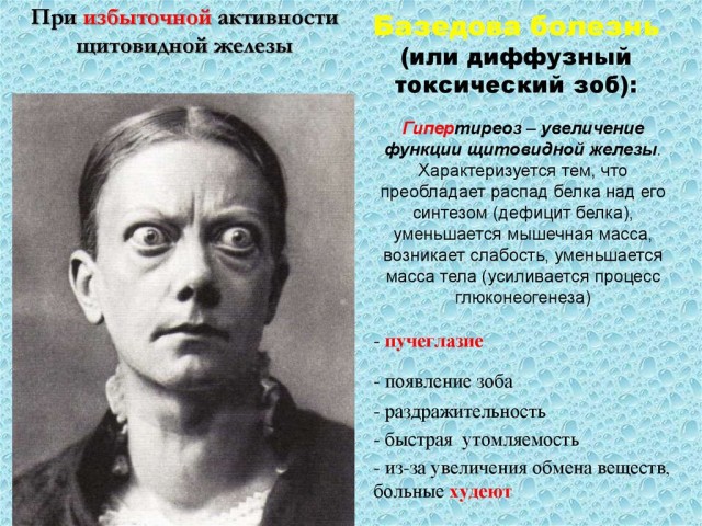 Фотожаба. Эти глаза напротив