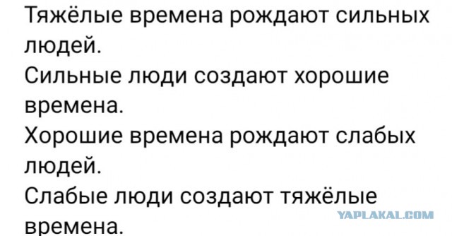 Тяжелые времена рождают сильных котят