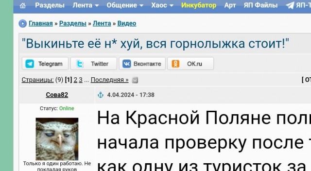 "Выкиньте её н* хуй, вся горнолыжка стоит!"