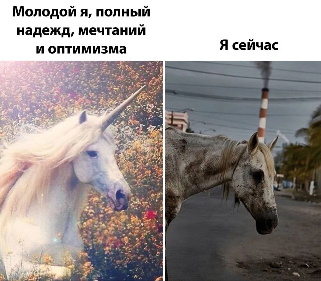 Так себе картинки 04.05.24