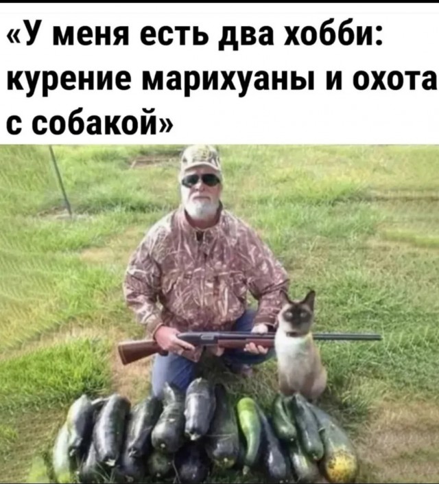 И опять про них