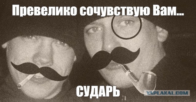 Сколько заработали те кто тапали хомяка Hamster Combat