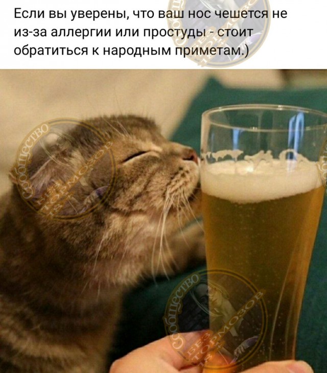 Пятничная солянка