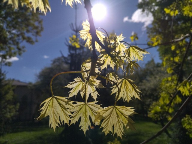 Литературная беседка v.1