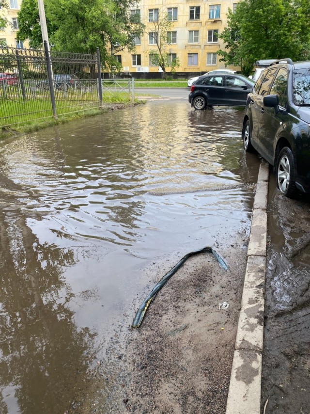 Жители Петербурга пожаловались на 15-летнюю лужу около детского отделения тубдиспансера