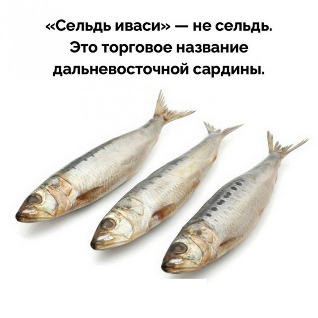 Картинки для деградации 25 (разной степени свежести)