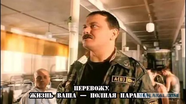 Просто идеальное чутье или....