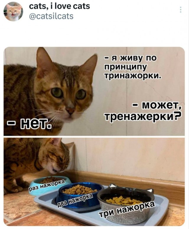 Картинки для деградации 64 (разной степени свежести)