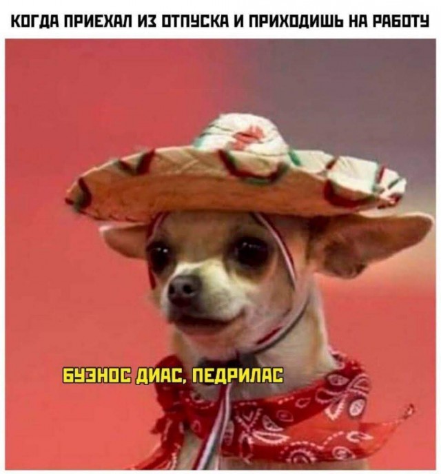 Отсутствие морально этических норм Vol.52