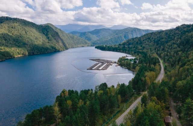 Красивые картинки