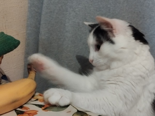 Бананофобия