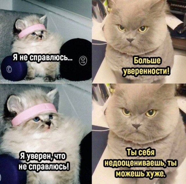 Картиночки, баянчики 10 декабря