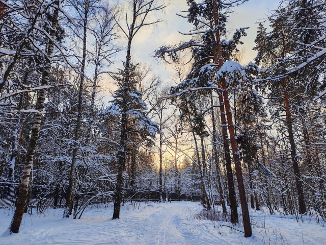 Зимняя дорога