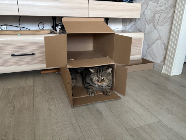 Котокоробковое