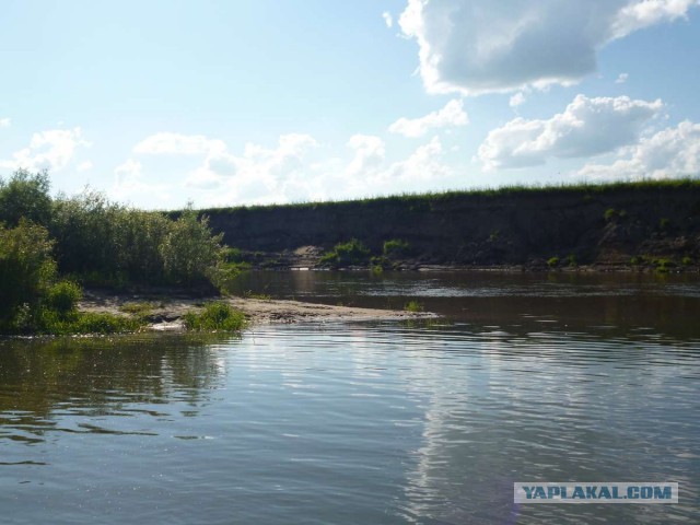 Сплав по реке Оке.