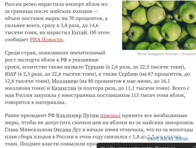 Магазин с продуктами теперь ничем не отличается от магазина с бытовой химией