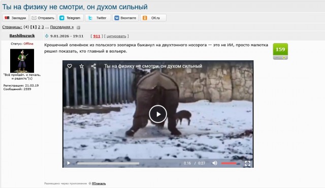 Носорог и его мелкий друг
