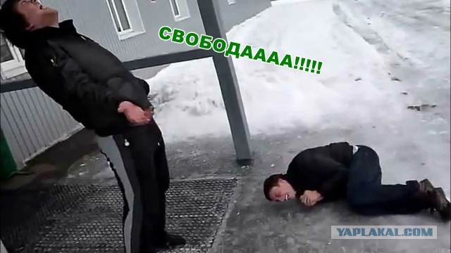 Темщики, ловите лайфКАК от подсудимого из Уфы