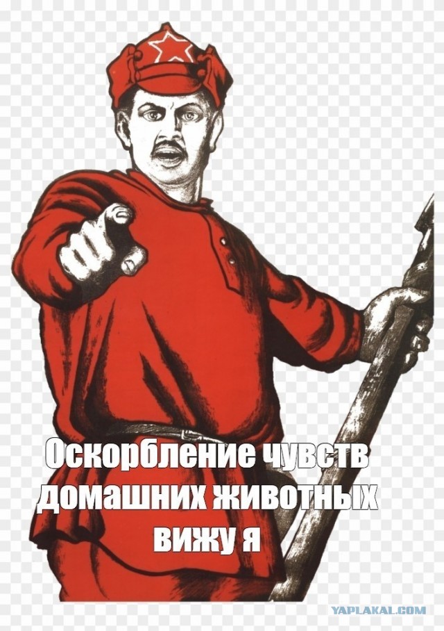 Картинки для деградации 197 (разной степени свежести)