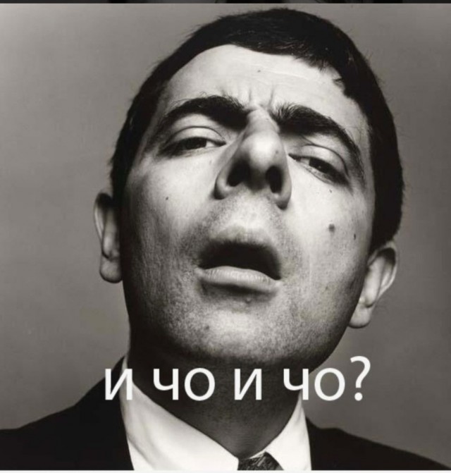 Милота дня: собакену дали камеру, которая фотографировала только то, что ей нравится — внутри был датчик сердечного ритма