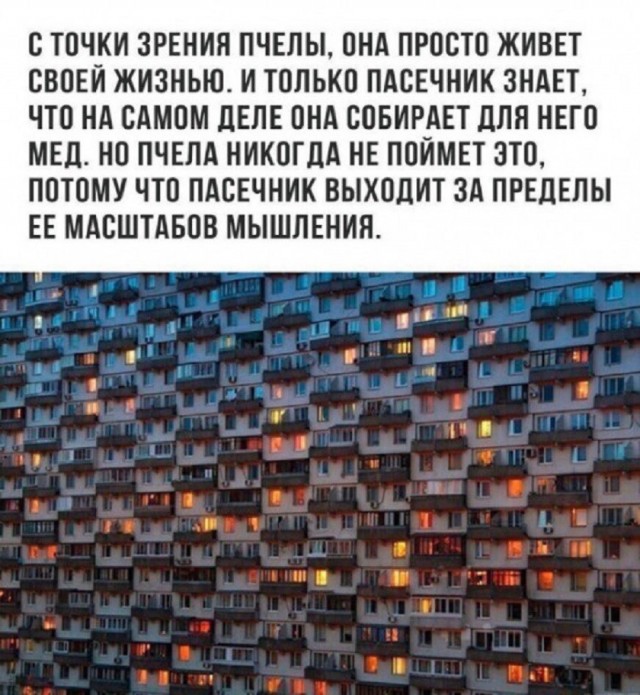 Так себе картинки 04.07.26
