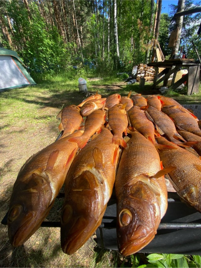 Фото с разных рыбалок