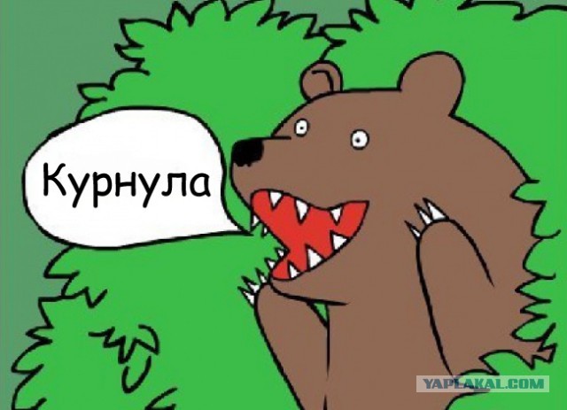 Вот это курнула